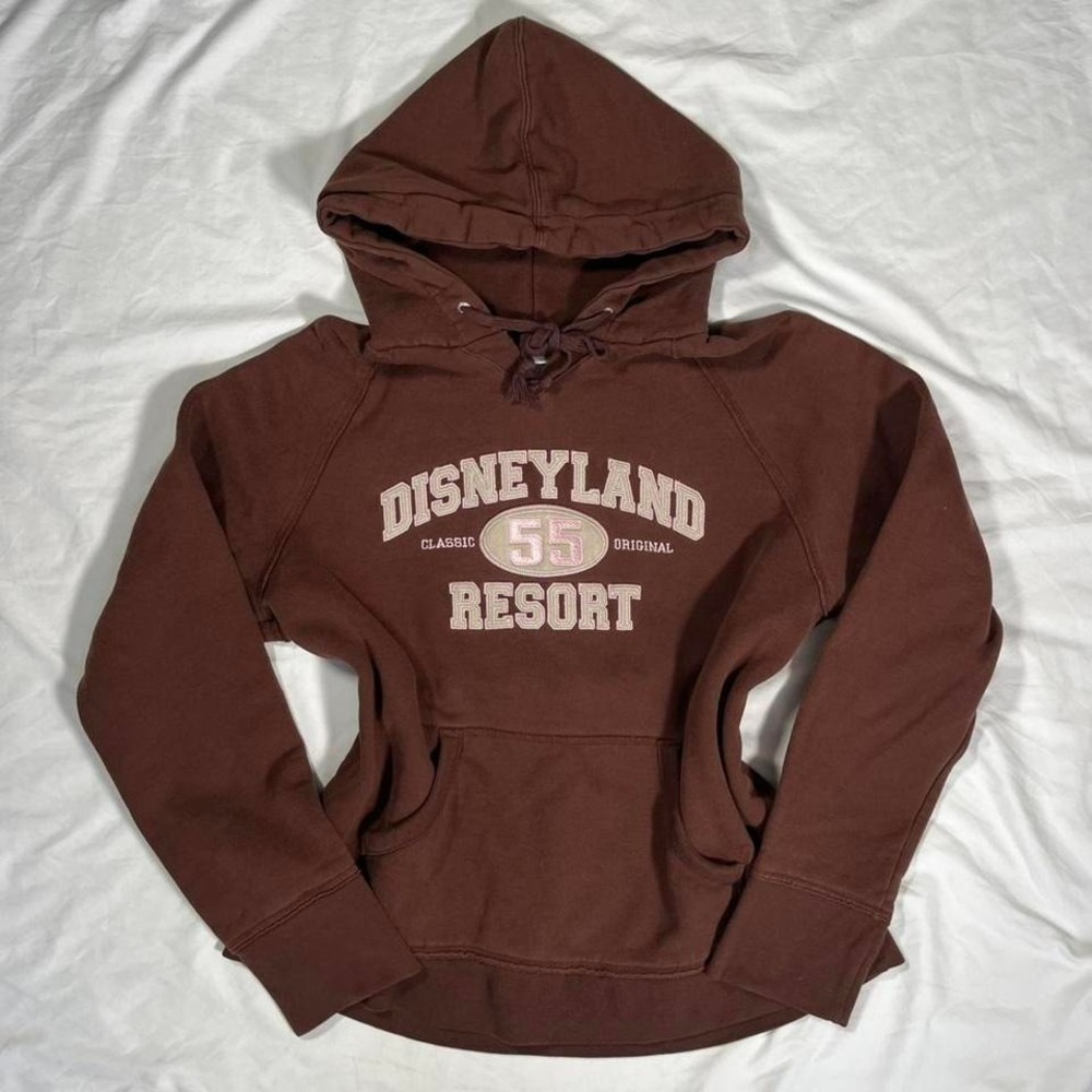 vintage y2k brown and pink disneyland resort hoodie